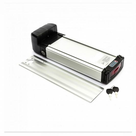 Li-Ion 48V 20Ah LiFePO4 Battery For E-Bike