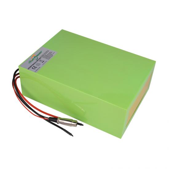 Electric Bike Scooter Motorcycle Tricycle High Power LiFePO4 48V 20AH Battery