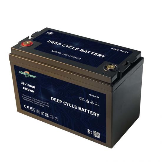 Lithium Ion Phosphate Battery Deep Cycle 36V 50Ah Lifepo4 Battery Pack For Marine Automobile Starting Energe Storage System